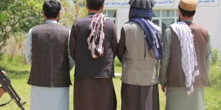 بدخشان‌ده جنایی جرملر دوامی؛ بیر عایله‌ نینگ اوچ اعضاسی شفقت‌سیز اۉلدیریلگن