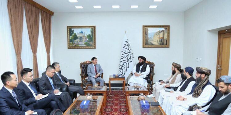 طالبان و چین رسمی‌لری اۉرته‌لریده‌گی مناسبت‌لری کوچه‌یشی خصوصیده صحبت‌لشدی