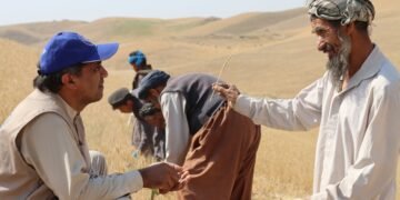 بیرلشکن ملتلر  تشکیلاتی افغانستان‌ده قورغاقچیلیک قیشلاق حیاتی‎‌گه جدی زیان ییتکزگنیدن خبر بېردی