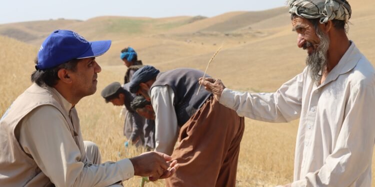 بیرلشکن ملتلر  تشکیلاتی افغانستان‌ده قورغاقچیلیک قیشلاق حیاتی‎‌گه جدی زیان ییتکزگنیدن خبر بېردی