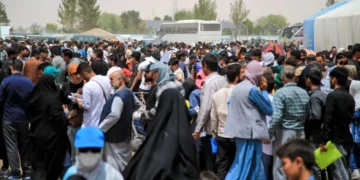 کمیده ۶۴۸ مینگ مهاجر اسلام-قلعه‌دن ولایت‌لرگه تیکین انتقال بېریلگنی خبر قیلیندی