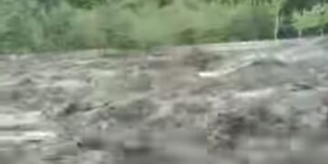 ننگرهارده سوو تاشقینی؛ طالبان محلی رسمی‌لری بیش کیشی قربان بۉلگنیدن خبر بېردی