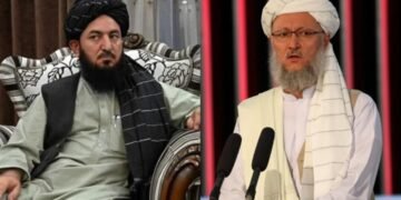 نوایی هیکلی یۉق اېتیلیشی؛ طالبان اۉزبېک اعضالری جیم قالیب کېلماقده