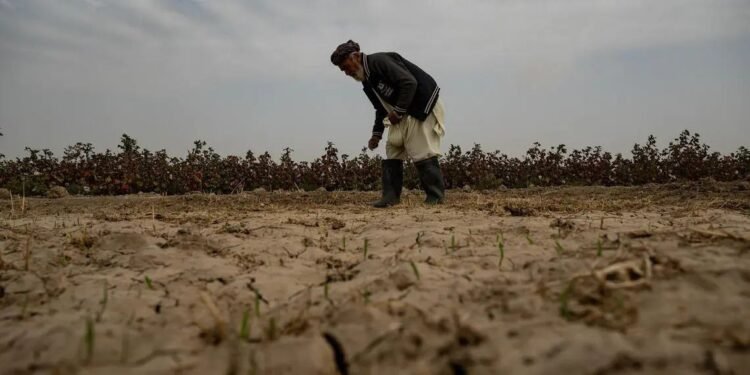 بیرلشکن ملتلر تشکیلاتی افغانستان‌ده قورغاقچیلیک تهدید‌لریدن آگاه‌لنتیردی
