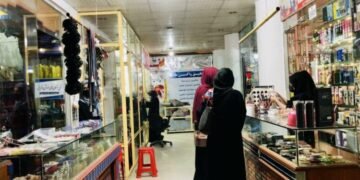 مینگلرچه کیچیک کسب‌وکار حمایه‌لنیشی اوچون آلتی ولایتده مالیه‌وی حمایه نظرگه توتیلدی