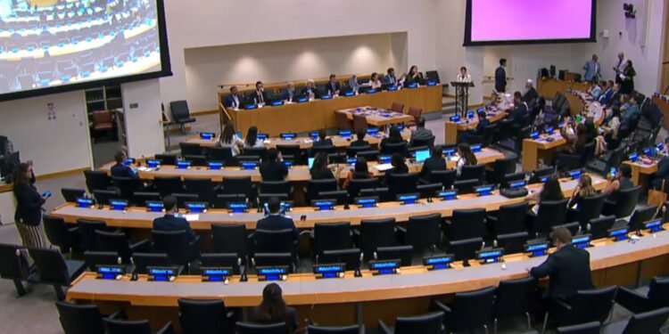 بیرلشکن ملتلر تشکیلاتی‌ده افغانستان خصوصیده بیر ییغین اۉتکزیلدی