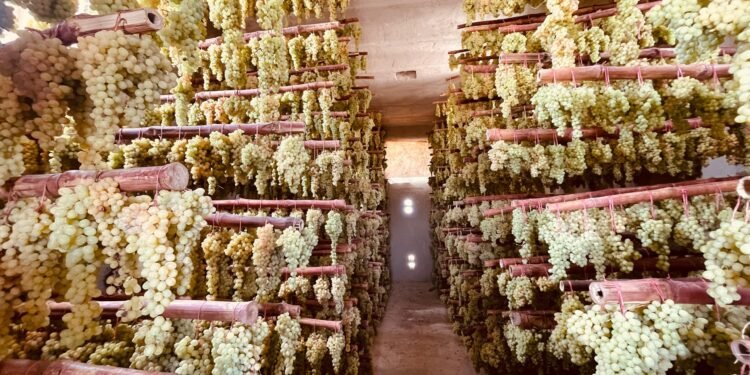 بیرلشکن ملتلر تشکیلاتی افغانستان بویلب ۱۶۵«مه‌یز قوریتیش اویی» ایشگه توشیریلیشیدن خبر بېردی