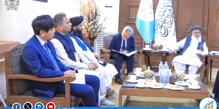 کابلده سوو تنقیصلیگی؛ طالبان جاپاندن یاردم سۉرهدی