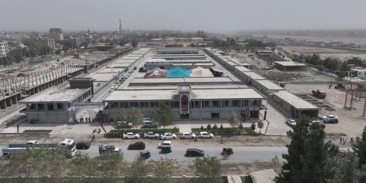 تخارده سپین‌زر ناملی سودا شهرچه‌سینی قوریلیش ایشلری باشلندی