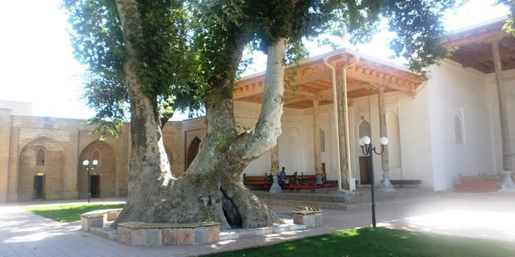 اولوغ عارف و صوفی مخدوم اعظم و اونینگ اثرلرینی قوللگن سۉنگی تصوف نظریه چیلری _ ایکّینچی بۉلیم