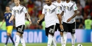 2014 ییلگی جهان قهرمانی فعالیتی یکونله‌دی