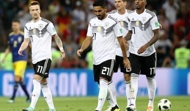 2014 ییلگی جهان قهرمانی فعالیتی یکونله‌دی