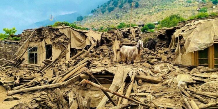 افغانستان‌ده زلزله‌دن زیان کۉرگنلرگه بیش میلیون دالر یاردم اجره‌تدی