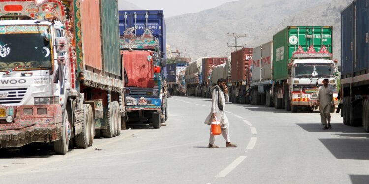 افغانستان صادرات رقمی سنبله آیی‌ده ۲۳۰ میلیون دالرگه یقین‌لشگن