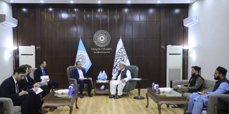 تورکیه طالبان‌نی ایکو تشکیلاتی نوبتده‌گی ییغینی‌ده چقیردی