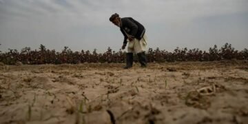 قورغاقچیلیک تهدیدلری؛ اوچا: افغانستان اهالی آغیر شرایط بیلن دوچ کېلگن