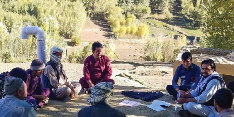 بیرلشکن ملتلر تشکیلاتی افغانستان‌ده ۳۶۰ پیاز و کچالو انباری قوریلگنیدن خبر بېردی