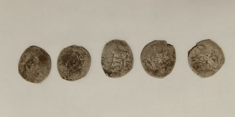 اۉزبېکستان‌ده بیش عصرلیک تاریخگه ایگه تنگه‎‌لرنی قاچاق اېتیش‎‌ده اولگورگن شخص اوشلندی