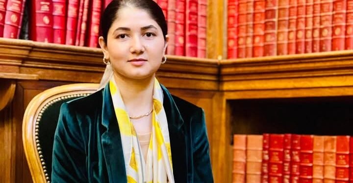 سیاره رحمانی آنه تیلنی حمایه قیلیش اوچون یۉل-خریطه‌سی تکلیف قیلدی