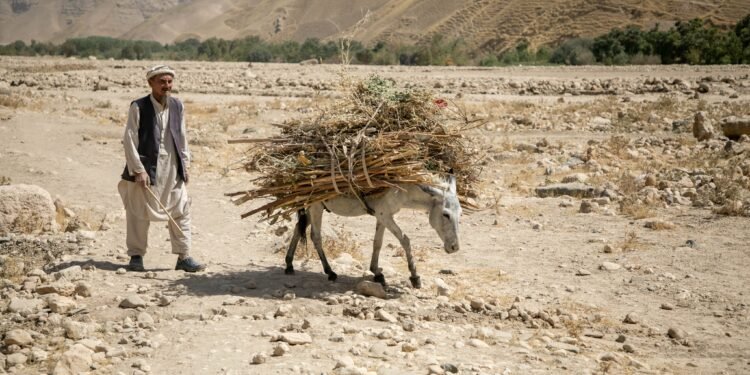 بیرلشکن ملتلر تشکیلاتی افغانستانده هر ییلی ۲۰۰ مینگ انسان اقلیم اوزگریشیدن زیان کۉریشینی اعلام قیلدی