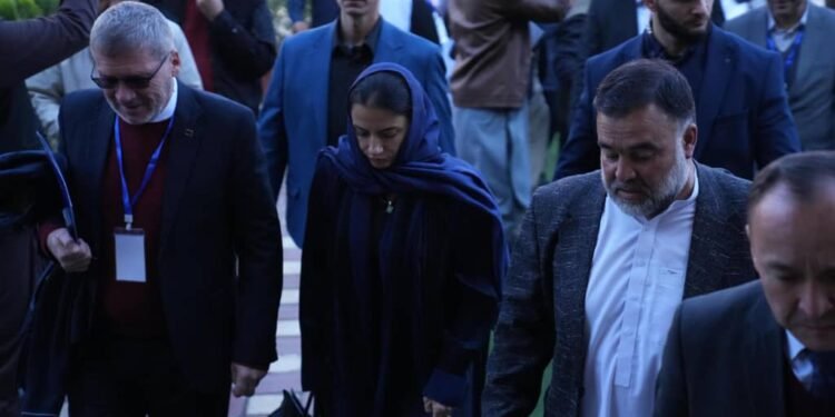 اروپا اتفاقی نمایندهلیگی ایش شرایطلری یرهتیلیشی بۉییچه خصوصی سکتور رولینی تاکیدلدی