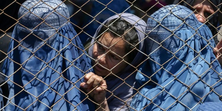 عیاللر اوچون ۱۶ کونلیک کمپاین باشلنیشی؛ افغانستانده خاتین-قیزلر احوالی جدی اعتبارگه آلینیشی تاکیدلنماقده