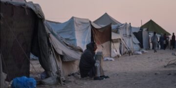 اروپا اتفاقی؛ غزهده قیشگه یاردم تۉسیقلری حقیده آگاهلنتیردی