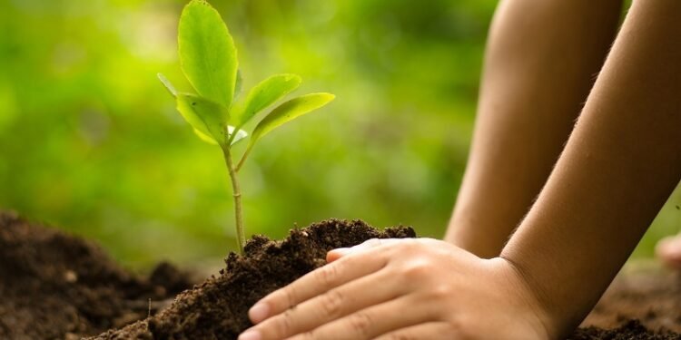 بیرلشکن ملتلر تشکیلاتی: افغانستان اطراف محیط‌نینگ بوزیلیشیگه نسبتاًً ضعیف(حمایه سیز) حالتده توریبدی