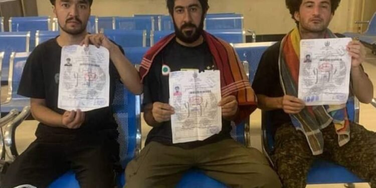 پاکستان و عراق‌ده قملگن 433 نفر افغانستانلیک مهاجر آزاد قیلیندی