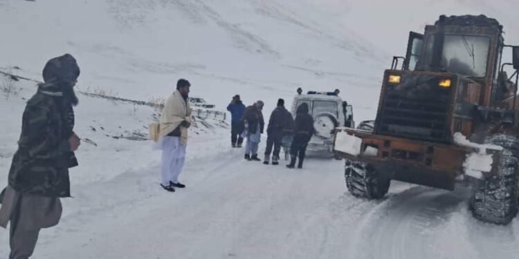 هرات-تورغندی یۉلی یوک تاشووچی موترلری اوچون یاپیلدی