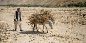 بیرلشکن ملتلر تشکیلاتی افغانستانده اقلیم اوزگریشی عاقبت‌لریدن آگاه‌لنتیردی