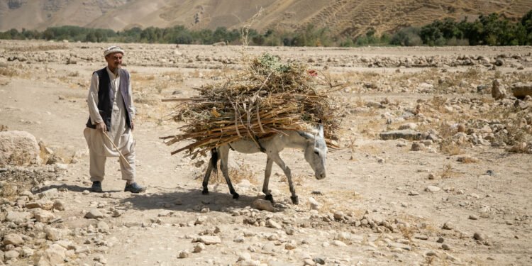 بیرلشکن ملتلر تشکیلاتی افغانستانده اقلیم اوزگریشی عاقبت‌لریدن آگاه‌لنتیردی