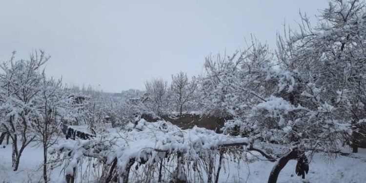 بوگون افغانستان بویلب ۲۱ ولایتده هوا یاغیشی کوتیله‌دی