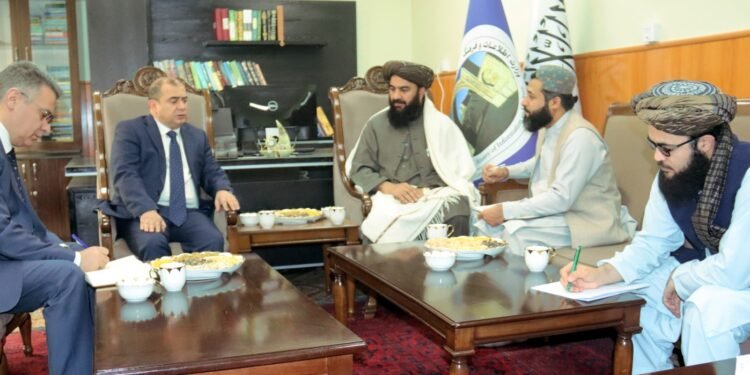 آذربایجان ایلچیسی افغانستانلیک یاشلر اوچون آنلاین اۉقیش زمینهسی یرهتیلیشیدن خبر بېردی