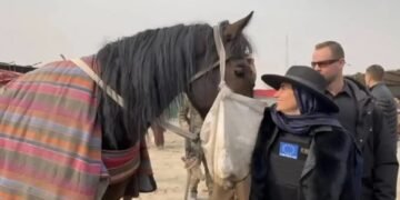 اروپا اتفاقی وکالت‌خانه‌سی رهبری اۉق اۉتمس کییم بیلن اولاق مسابقه‌سینی تماشا‌ قیلدی