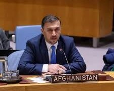 فایق: تهران‌ده افغانستانلیک سابق حربیلرنینگ اۉلدیریشی اویوشتیرگن جنایت دیر