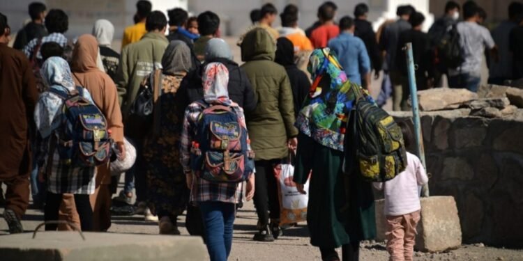 اۉتگن کون 320 نفر افغانستانلیک مهاجر عایله‌سی مملکتگه قَیتدی