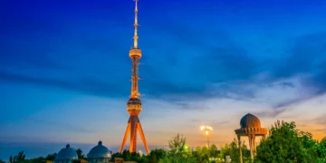 اۉزبېکستانده خاتین-قیزلر نینگ کۉپچیلیگی 30-20 یاش آره‌لیگیده تورموش قوره ‎دی