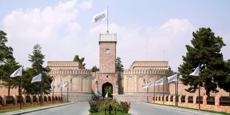 طالبلر: بو ییل هم 30 مینگ کیشی حج فرضنی ادا اېتیش اوچون سعودی عربستانگه بارهدی