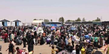 تیناوون333 مهاجر عایله‌ افغانستان‌گه قَیتدی