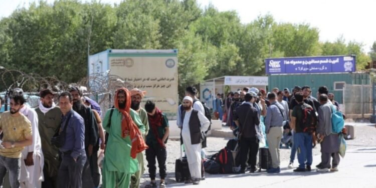 قریب 300 مهاجر عایله تیناوون افغانستانگه قَیتدی