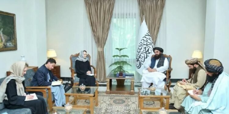 بیرلشکن ملتلر تشکیلاتی باش کاتبینینگ سیاسي مسألهلر بۉییچه اۉرینباسری افغانستانگه سفر قیلهدی