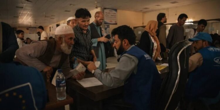 تیناوون‌ 420 مهاجر عایله‌ مملکت‌گه قَیتیب کېلدی