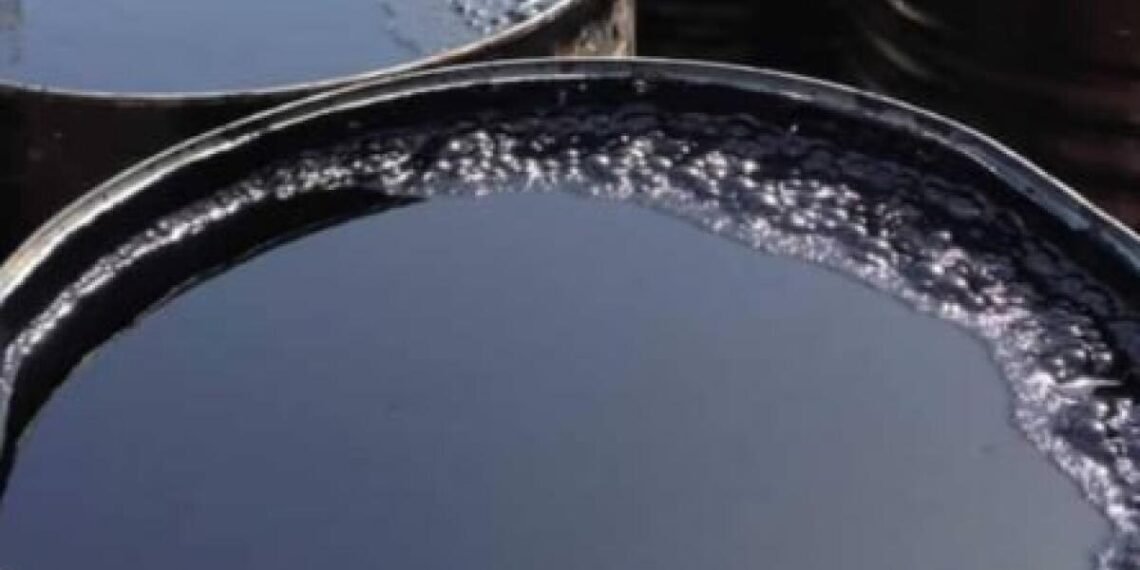 طالبلر ۲۴ تُن‌دن آرتیق صفت‌سیز قیرنی تورکمنستان‌گه قَیتریب یوباردی