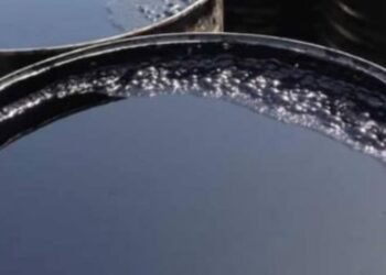 طالبلر ۲۴ تُن‌دن آرتیق صفت‌سیز قیرنی تورکمنستان‌گه قَیتریب یوباردی