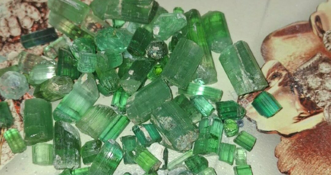 نورستان ولایتیده۱۱۳ میلیون افغاني ارزشگه اېگه قیمت‌بها تاشلرنی ساتیلدی