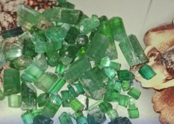 نورستان ولایتیده۱۱۳ میلیون افغاني ارزشگه اېگه قیمت‌بها تاشلرنی ساتیلدی