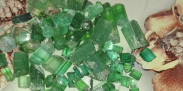 نورستان ولایتیده۱۱۳ میلیون افغاني ارزشگه اېگه قیمت‌بها تاشلرنی ساتیلدی