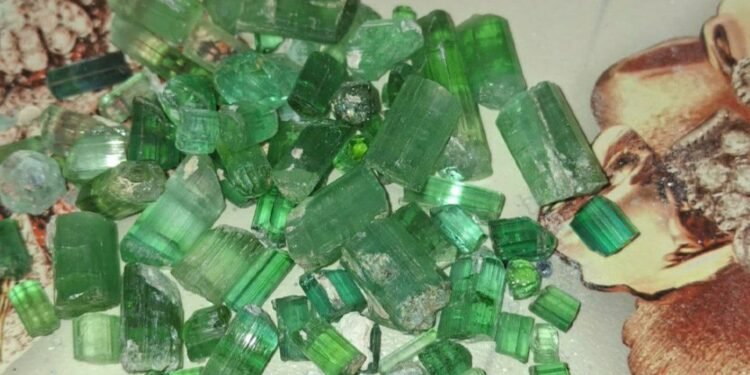 نورستان ولایتیده۱۱۳ میلیون افغاني ارزشگه اېگه قیمت‌بها تاشلرنی ساتیلدی