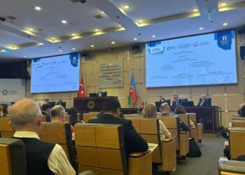 استانبول‌ده آذربایجان سرمایه یاتقیزیش امکانیت‎‌لری تېکشیریلدی